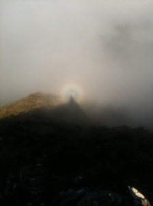 iPhone Upload 080614 1562