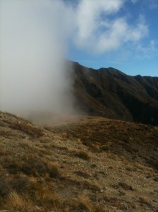 iPhone Upload 080614 1565