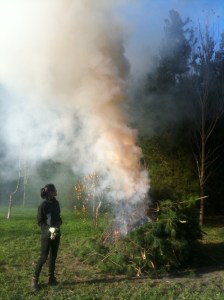 iPhone Upload 080614 1602