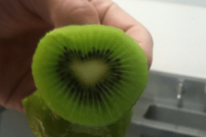 iPhone Upload 080614 1690