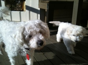 iPhone Upload 080614 1909