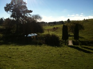 iPhone Upload 080614 1913